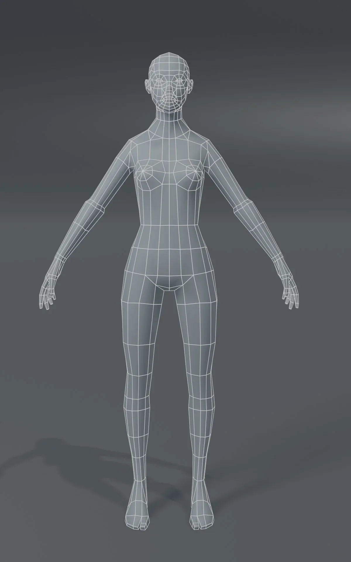 Human Body Base Mesh 3D Model Family Pack 1000 Polygons