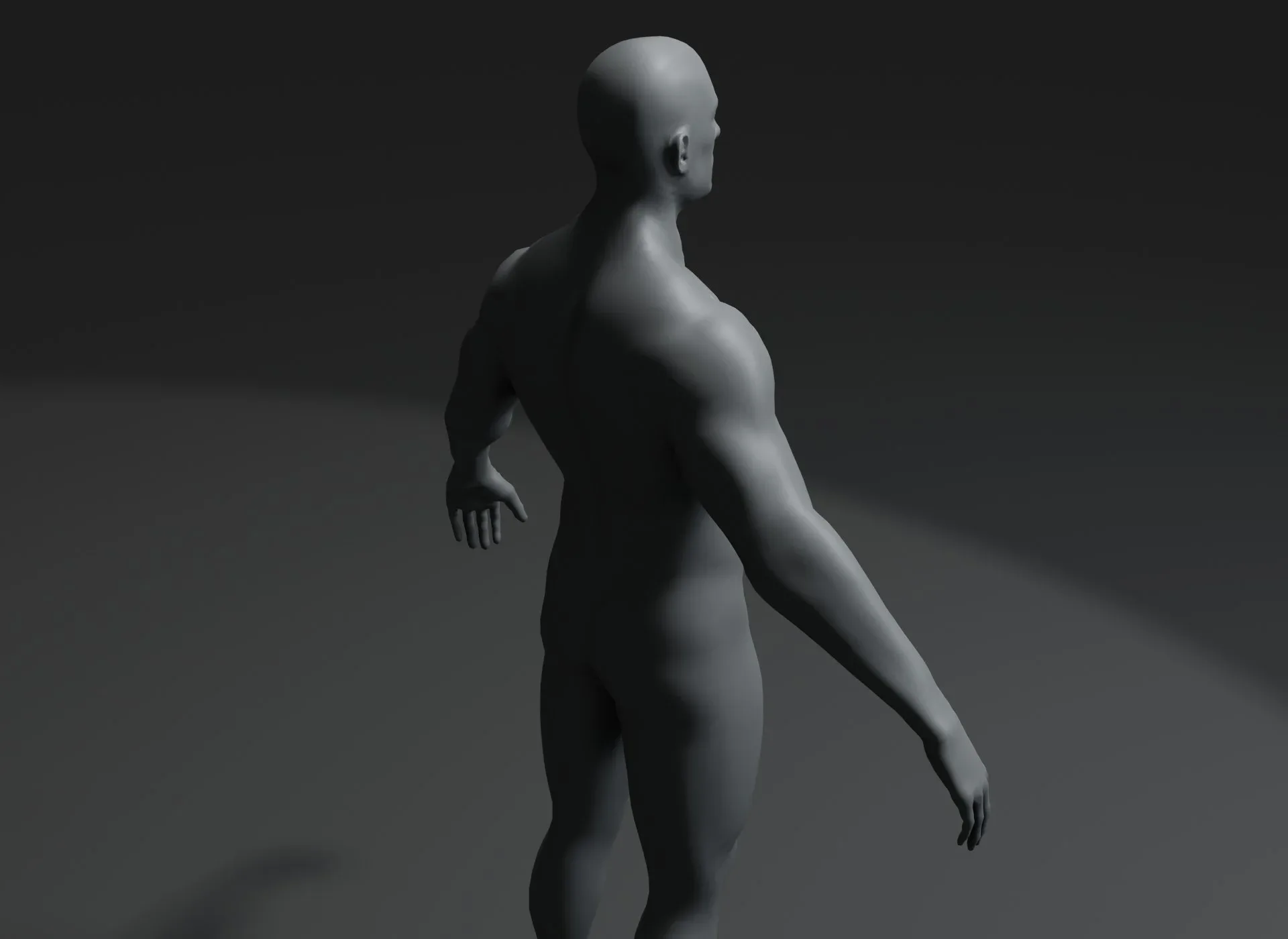 Human Body Base Mesh 3D Model Family Pack 20k Polygons