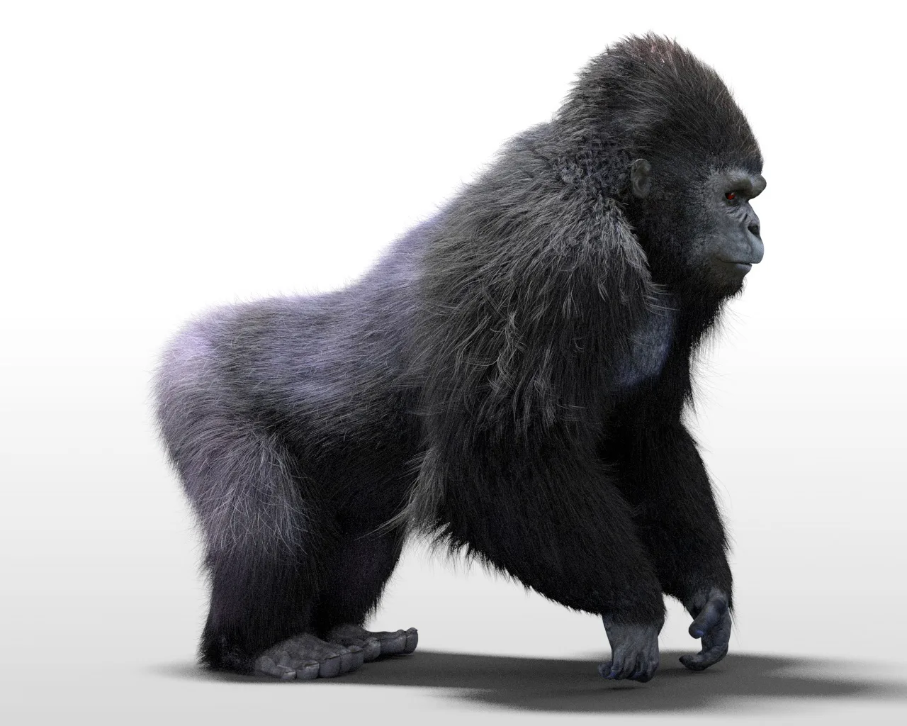 Gorilla hair fur rigged 3d model