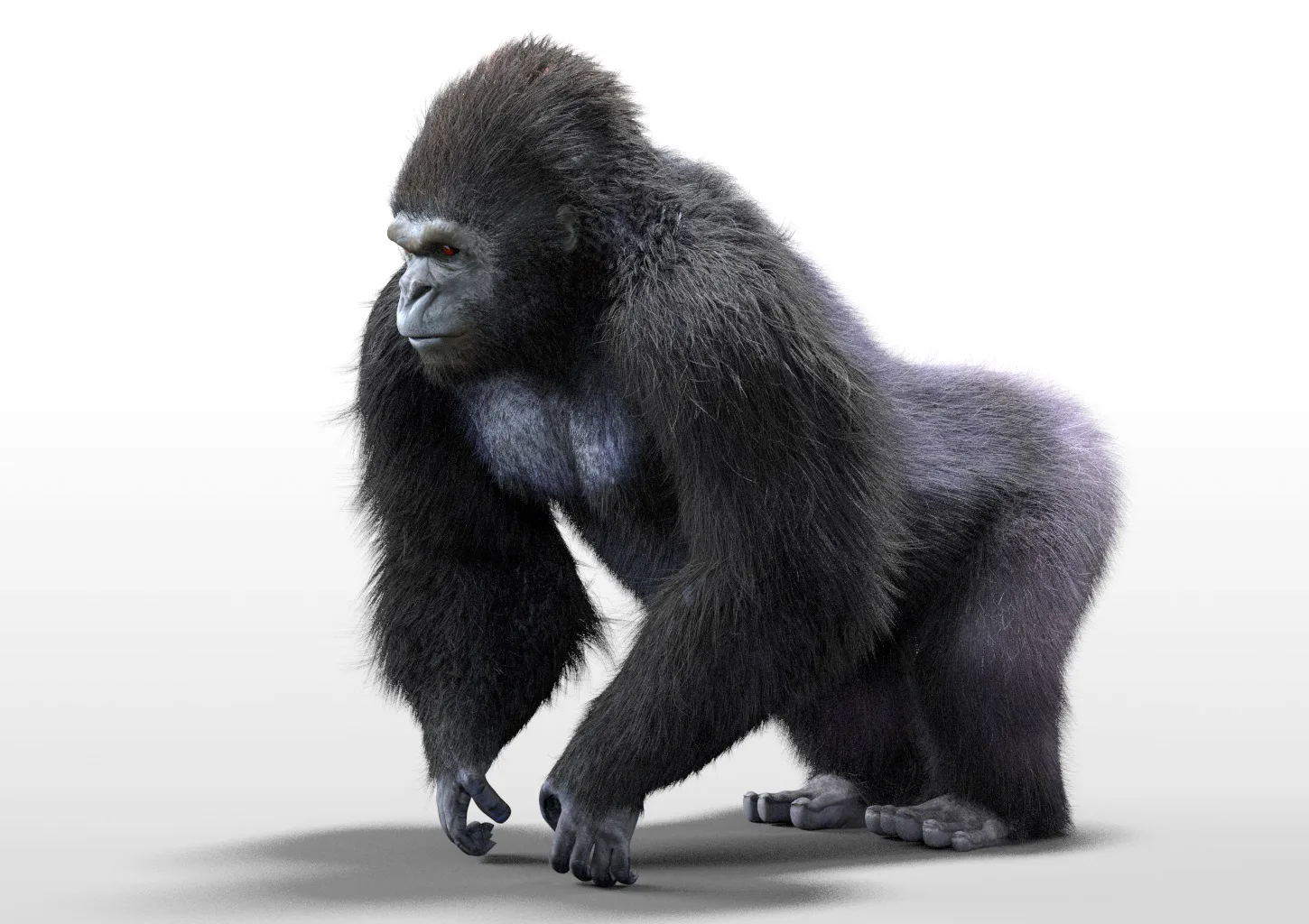 Gorilla hair fur rigged 3d model