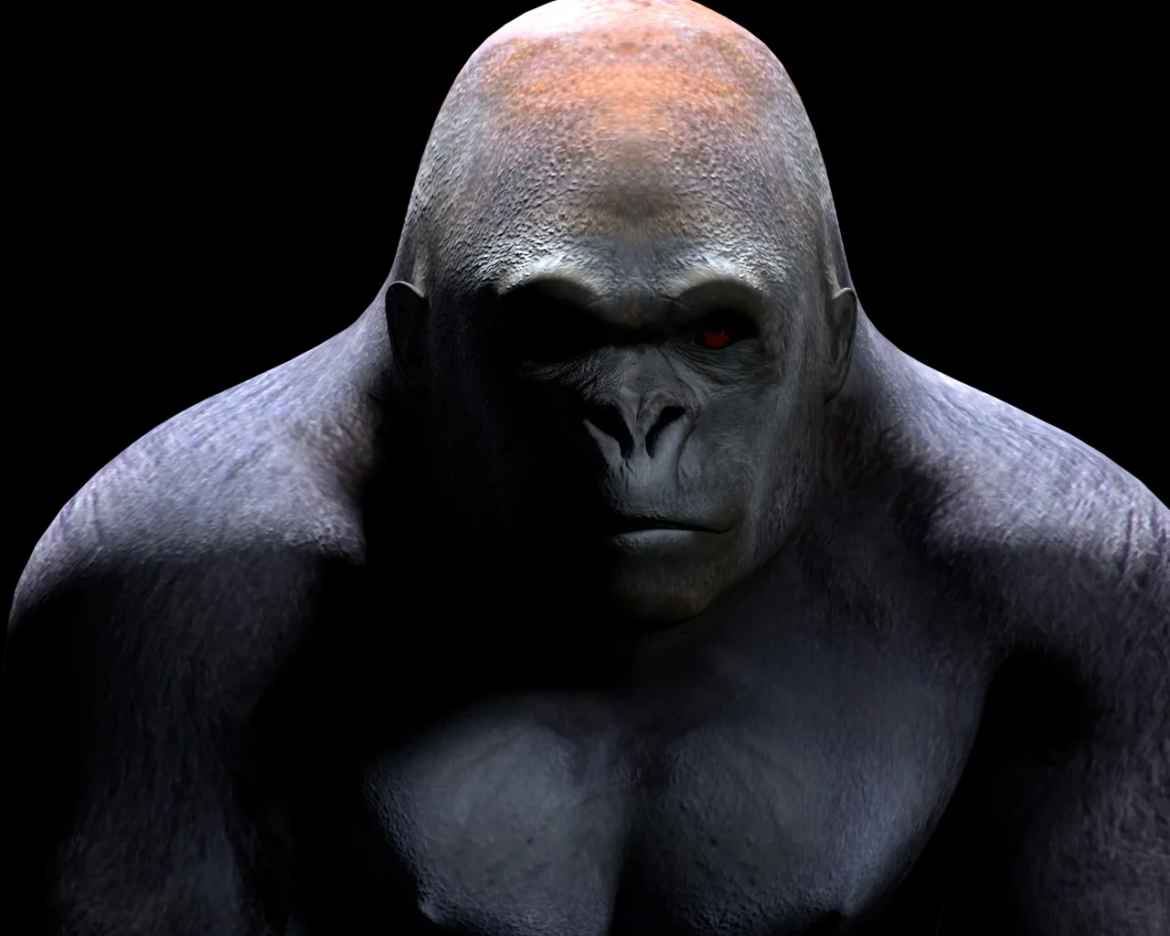 Gorilla hair fur rigged 3d model