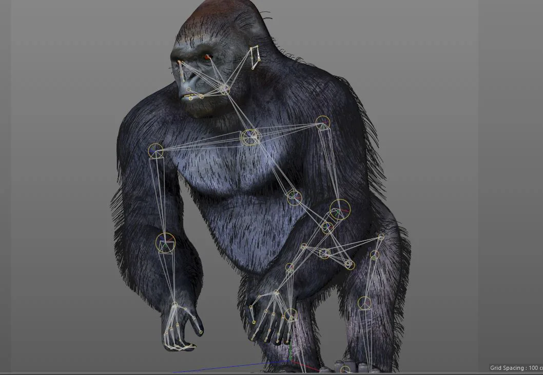 Gorilla hair fur rigged 3d model