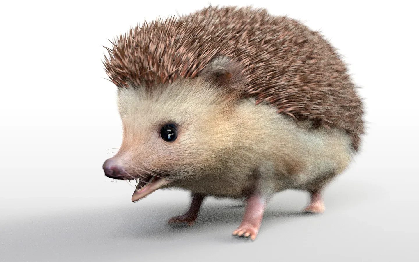 Hedgehog hair fur rigged 3d model