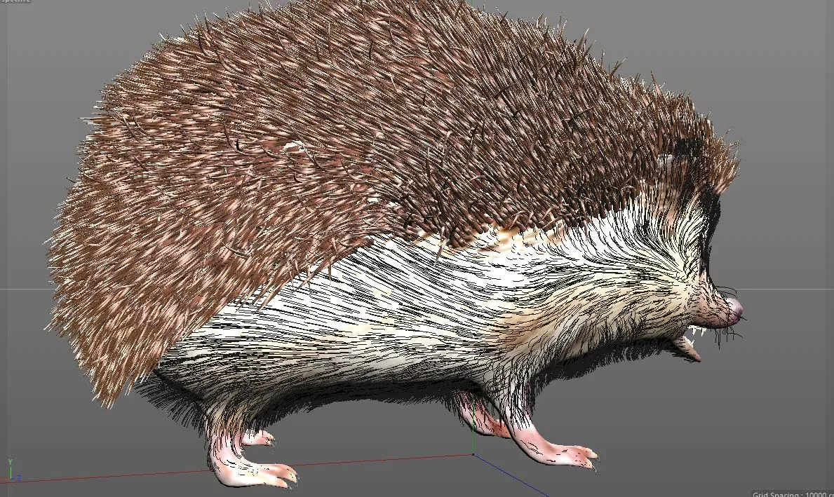 Hedgehog hair fur rigged 3d model