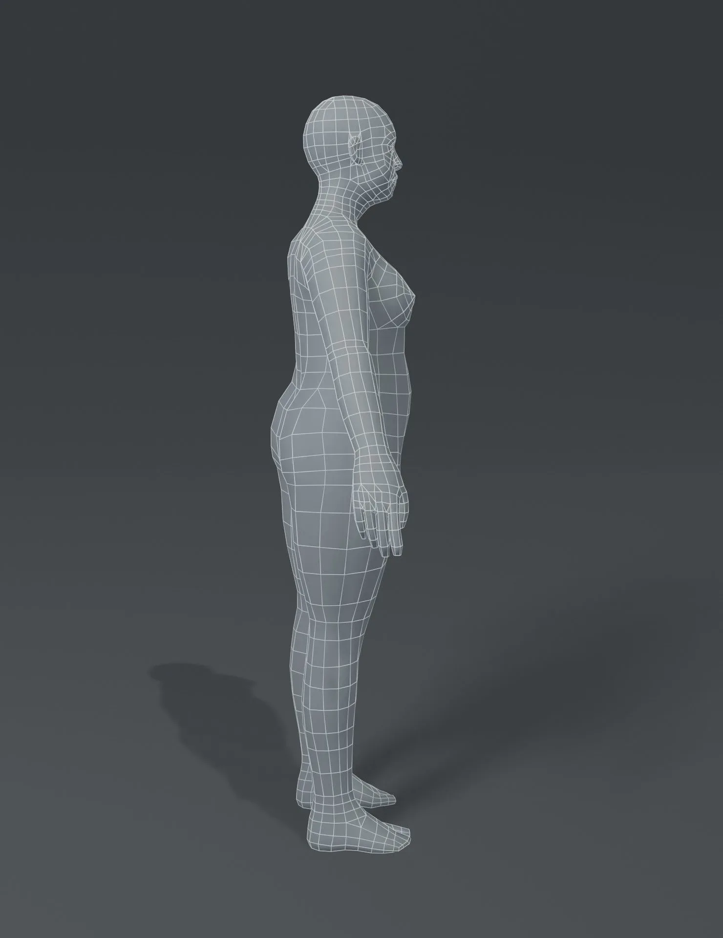 Fat Human Body Base Mesh 3D Model Family Pack