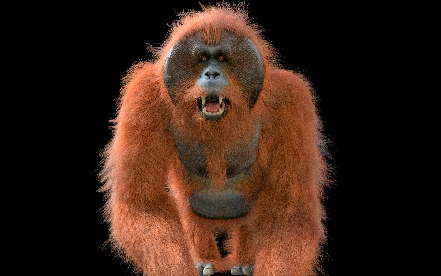 Orangutan hair fur rigged 3d model