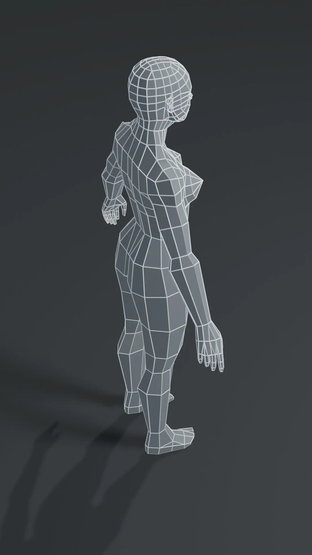 Muscular Human Body Base Mesh 3D Model Pack 1000 Polygons