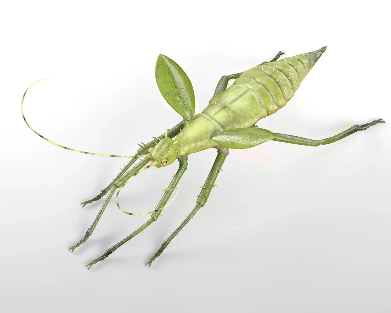 25 Insects collection 3d model