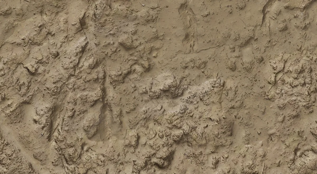 Wet Sand Texture