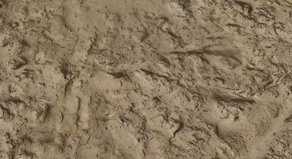 Wet Sand Texture