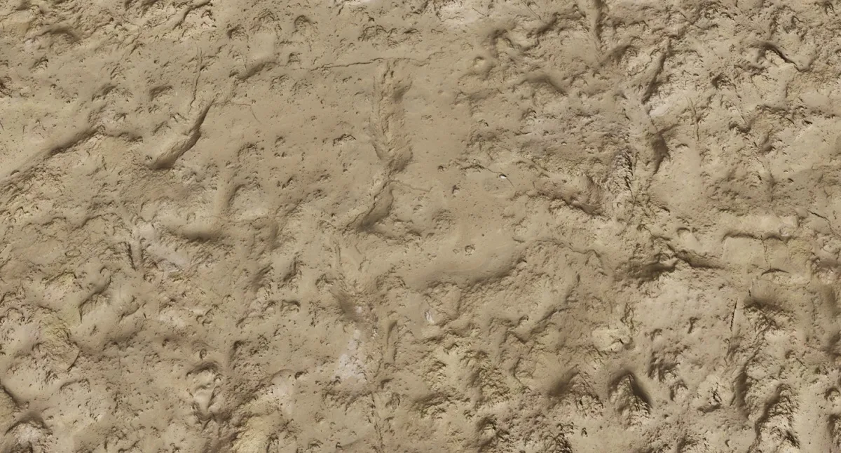 Wet Sand Texture