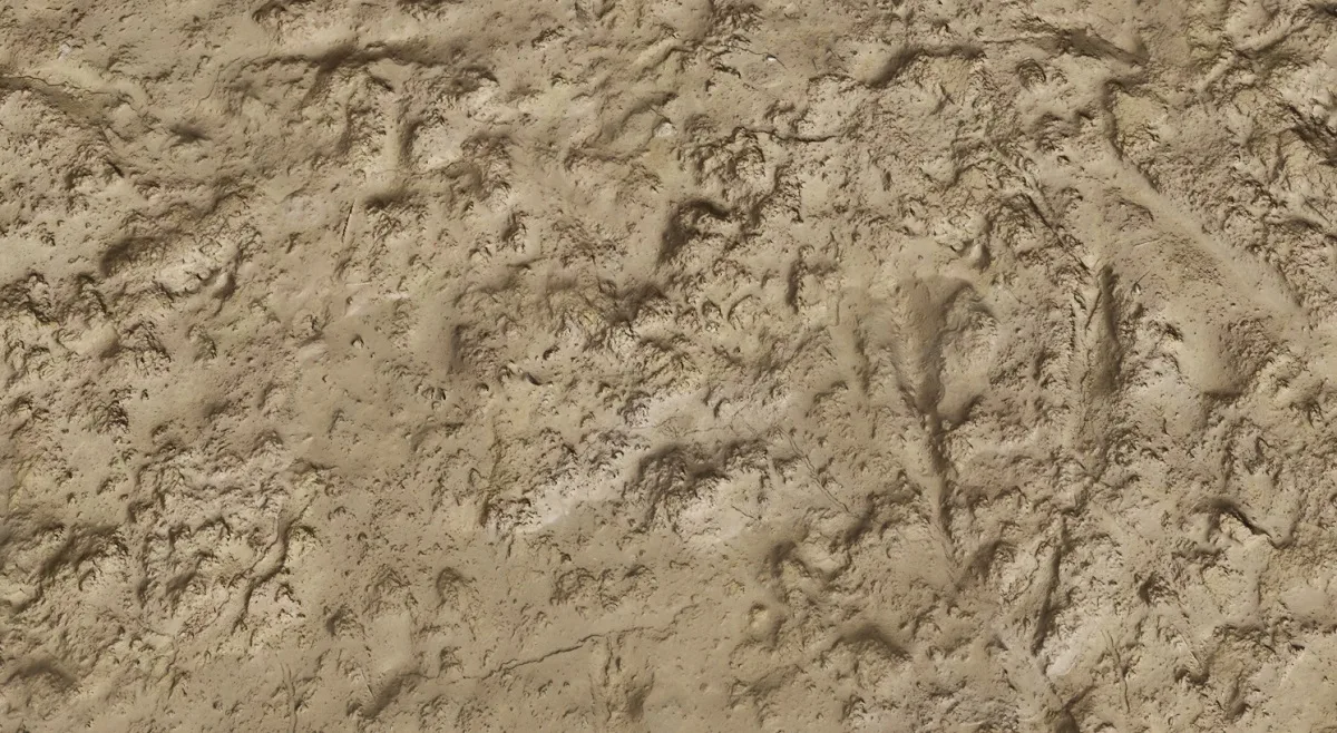 Wet Sand Texture