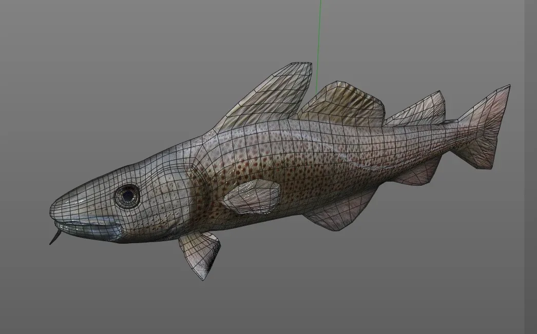 Cod fish 3d model