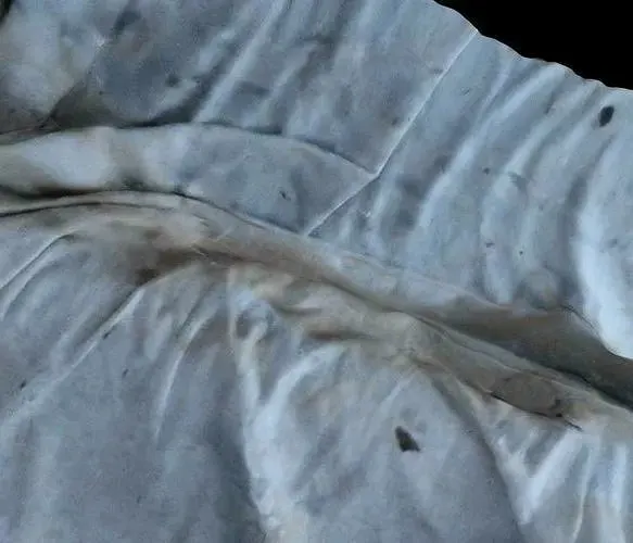 Draped Sheet