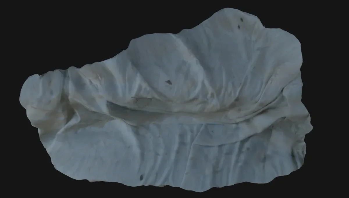 Draped Sheet