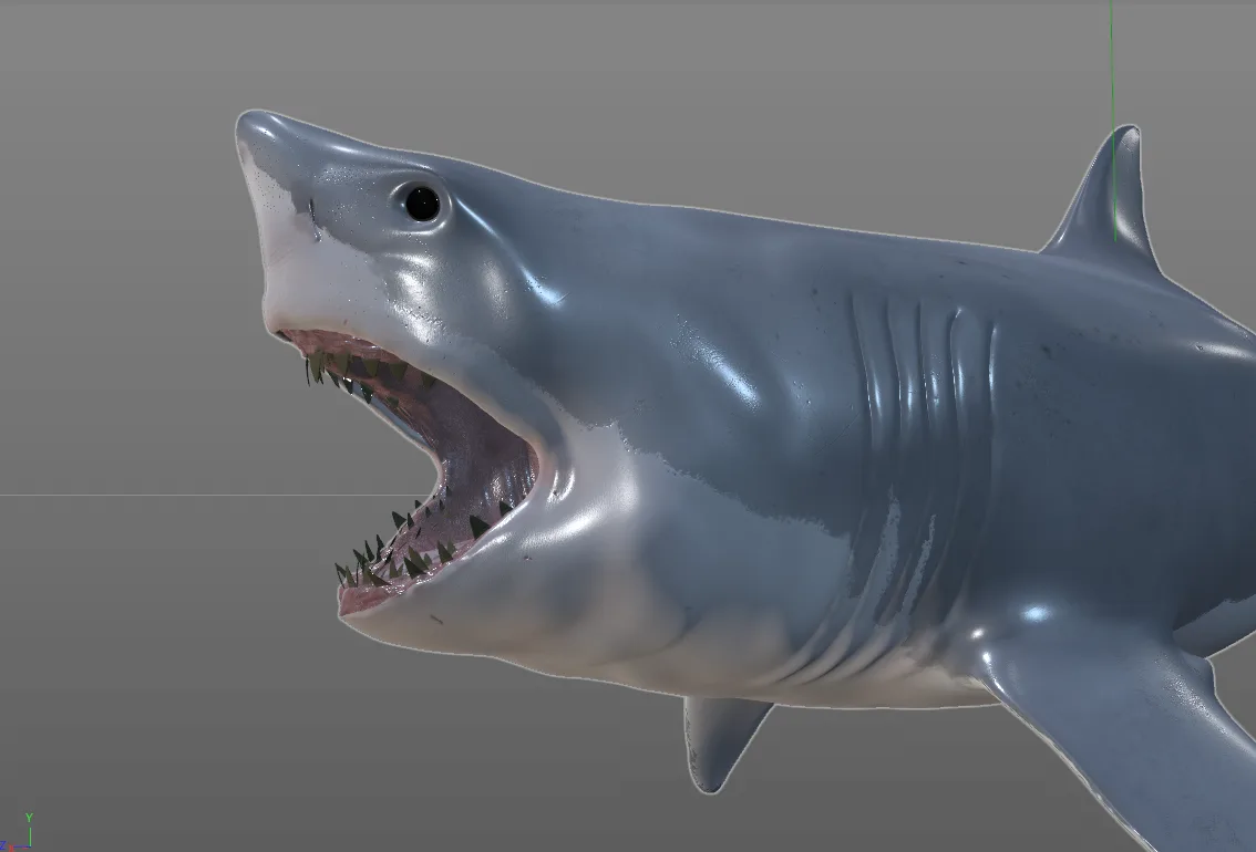 Great white shark fish 3d model