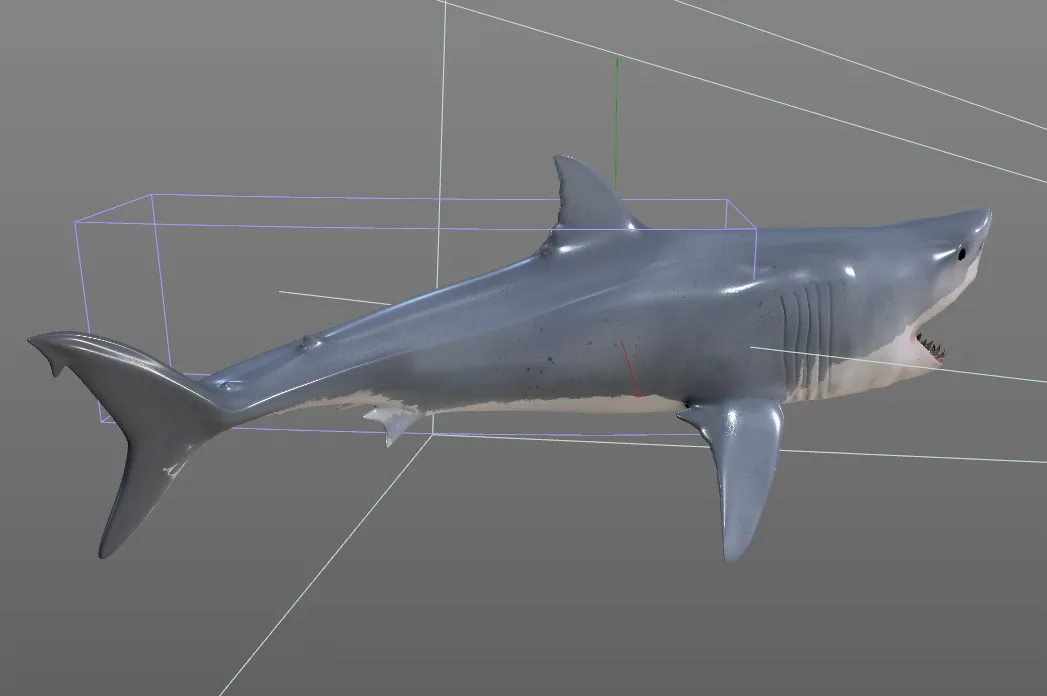 Great white shark fish 3d model