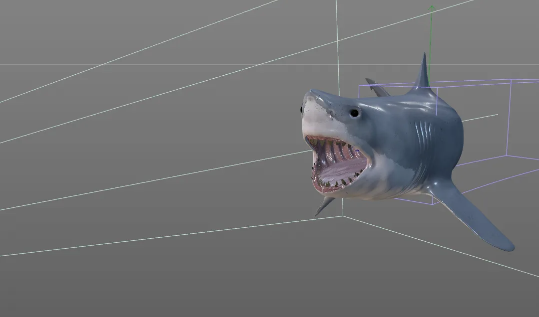 Great white shark fish 3d model