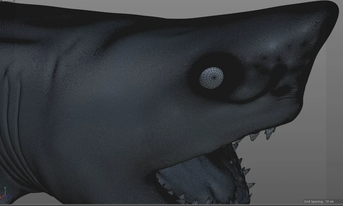 Great white shark fish 3d model