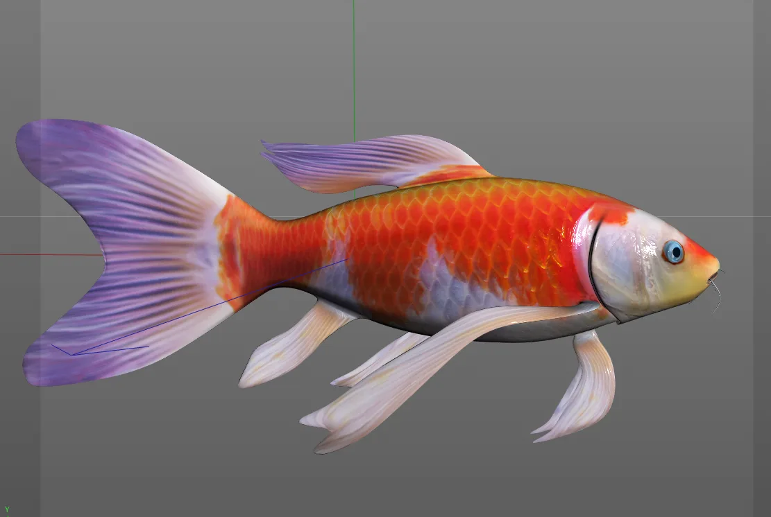 Koi fish 3d model