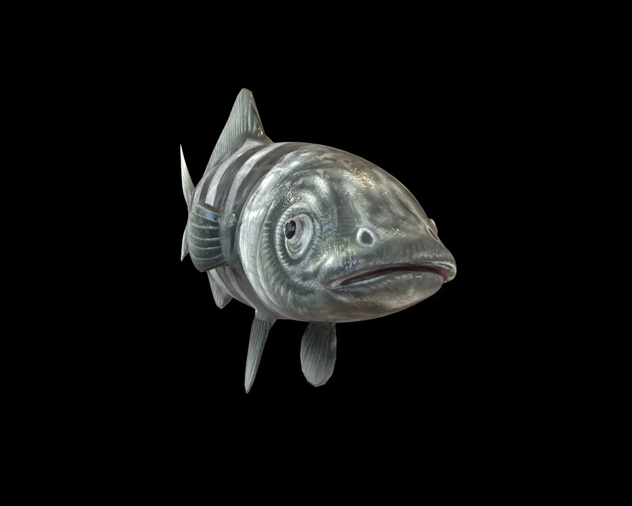 Pilot Fish 3d model