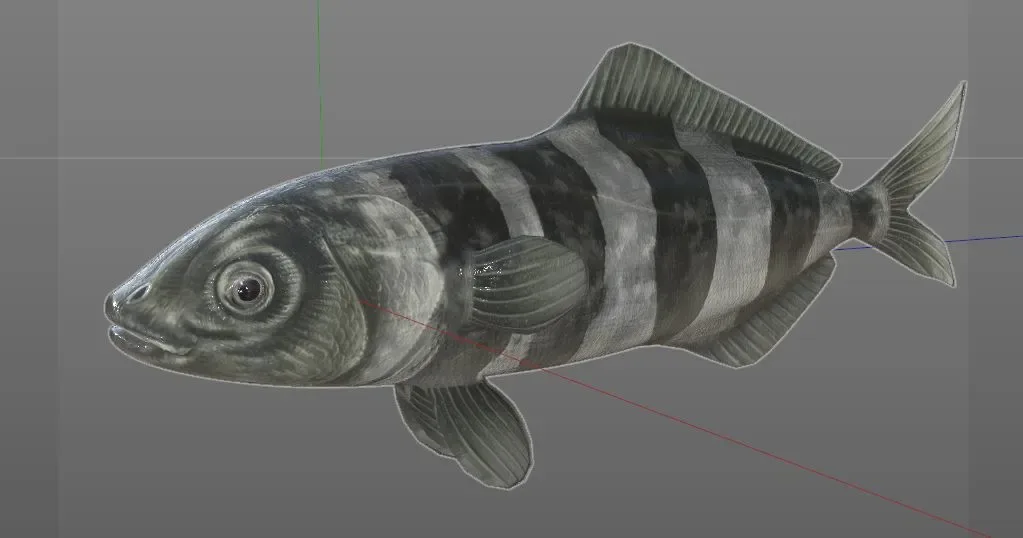 Pilot Fish 3d model