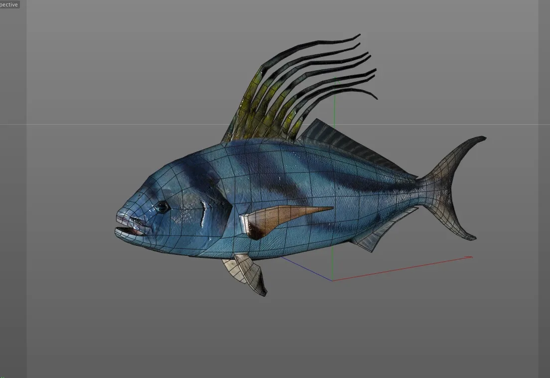 Rooster fish 3d model