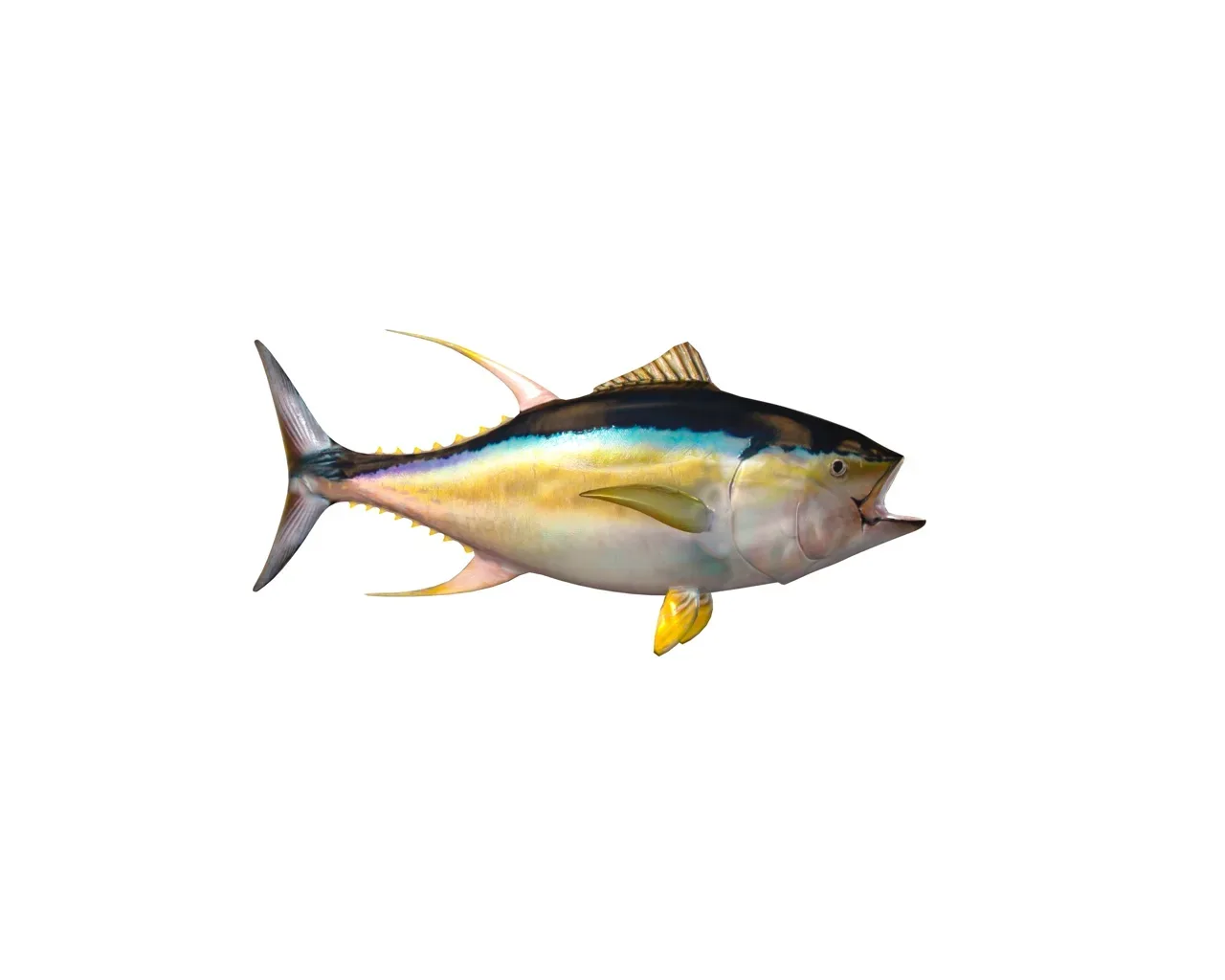 Yellowfin Tuna fish 3d model