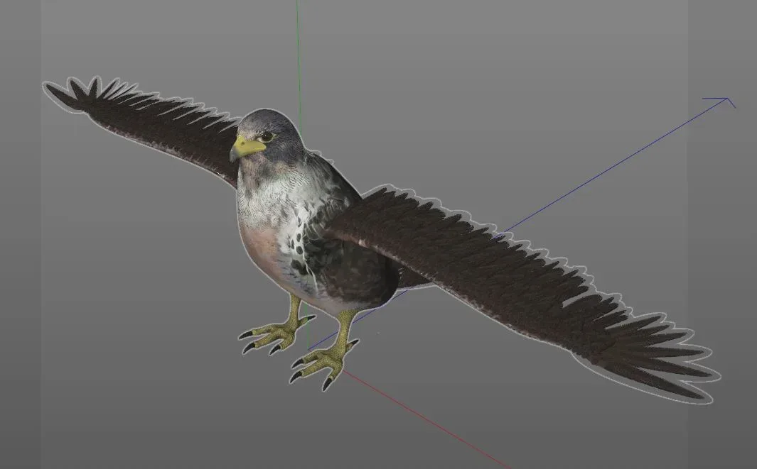 Falcon bird 3d model
