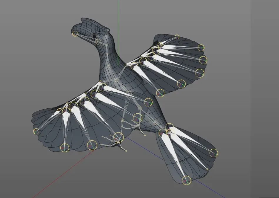 Hornbill bird 3d model