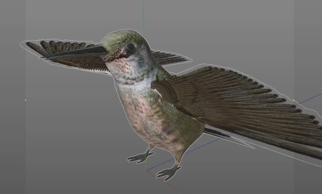 Humming bird 3d model