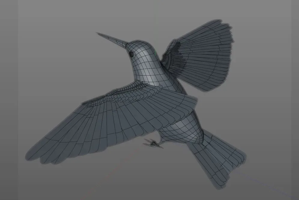 Humming bird 3d model