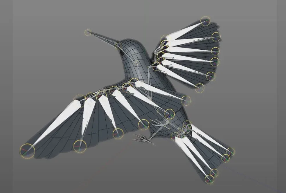 Humming bird 3d model