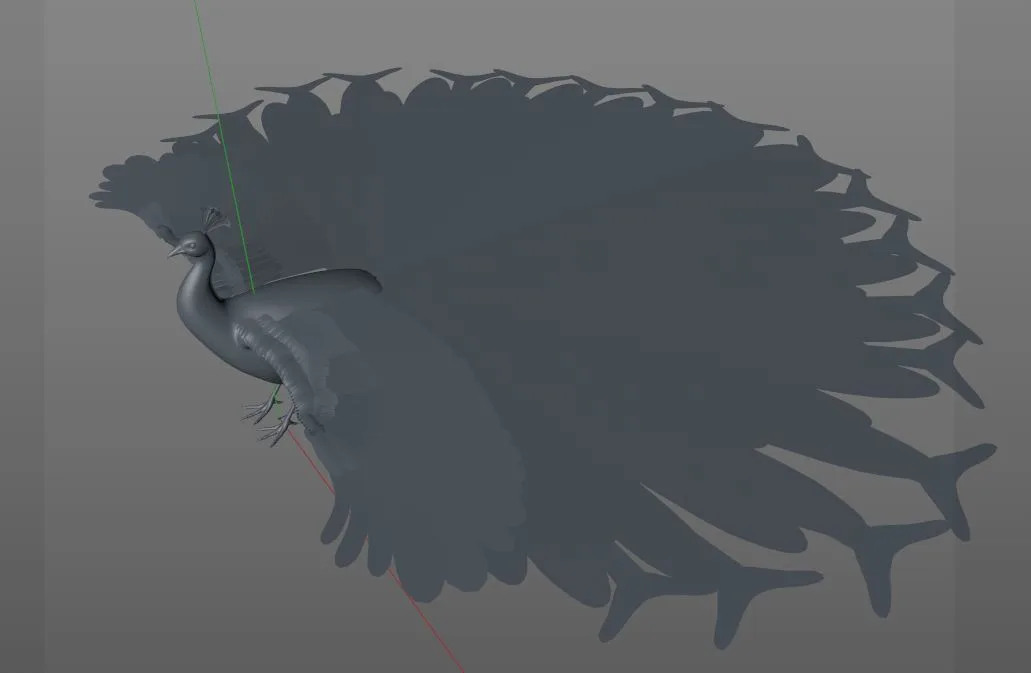 Peacock bird 3d model