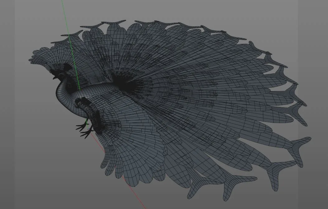 Peacock bird 3d model