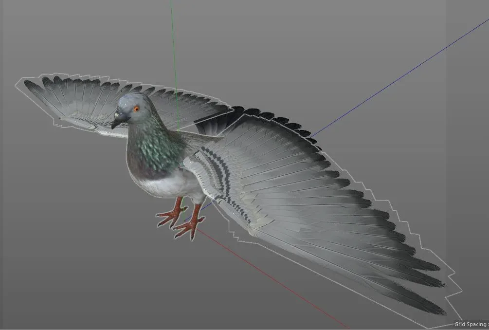 Pigeon bird 3d model