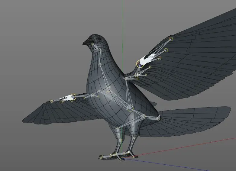 Pigeon bird 3d model