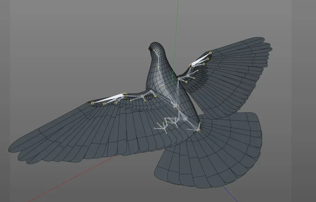 Pigeon bird 3d model