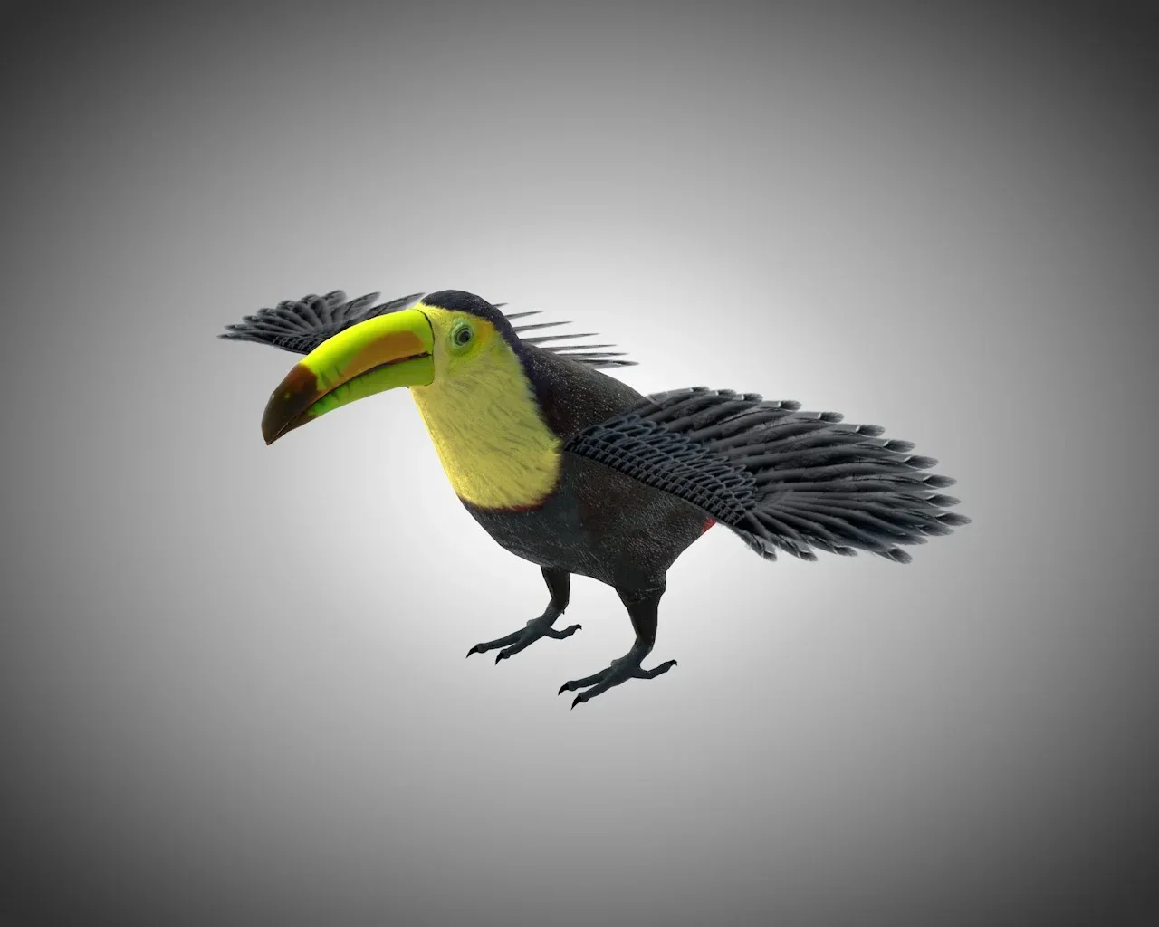 Toucan bird 3d model