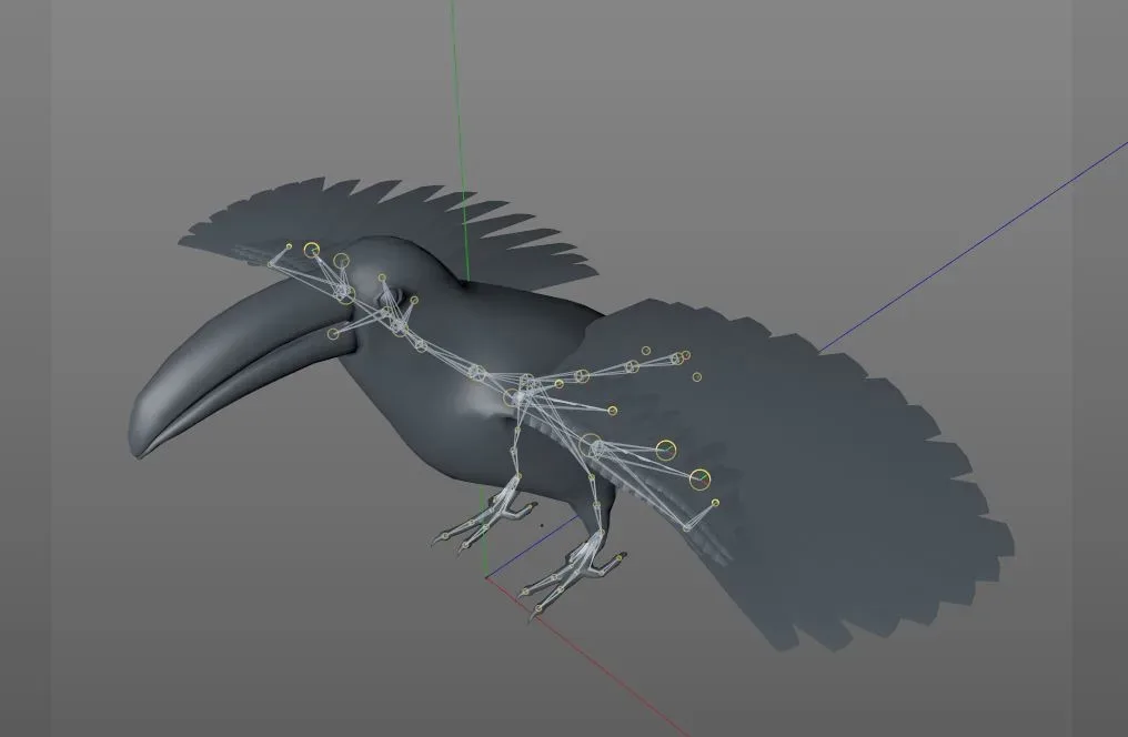 Toucan bird 3d model