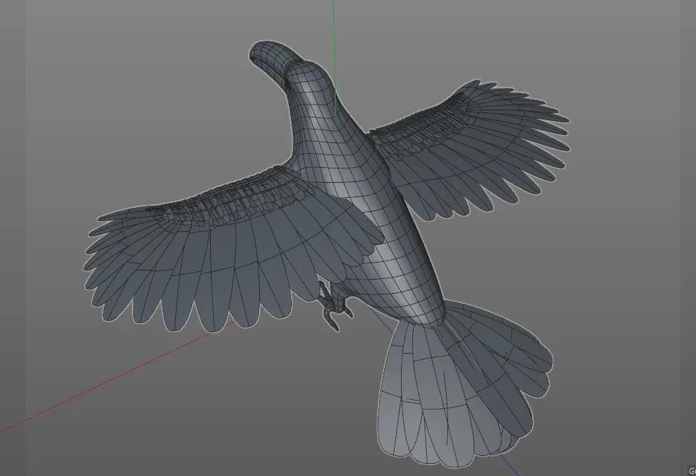 Toucan bird 3d model