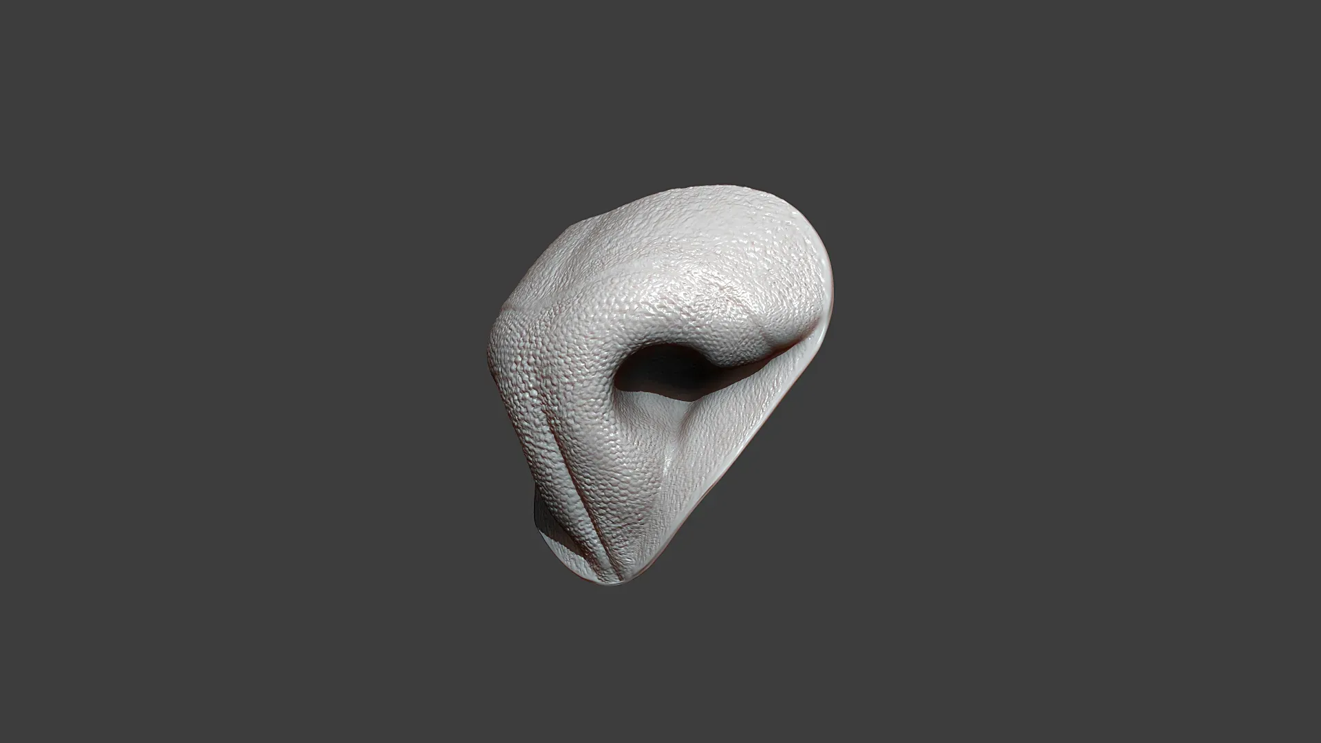 Cat Nose Highpoly Sculpt