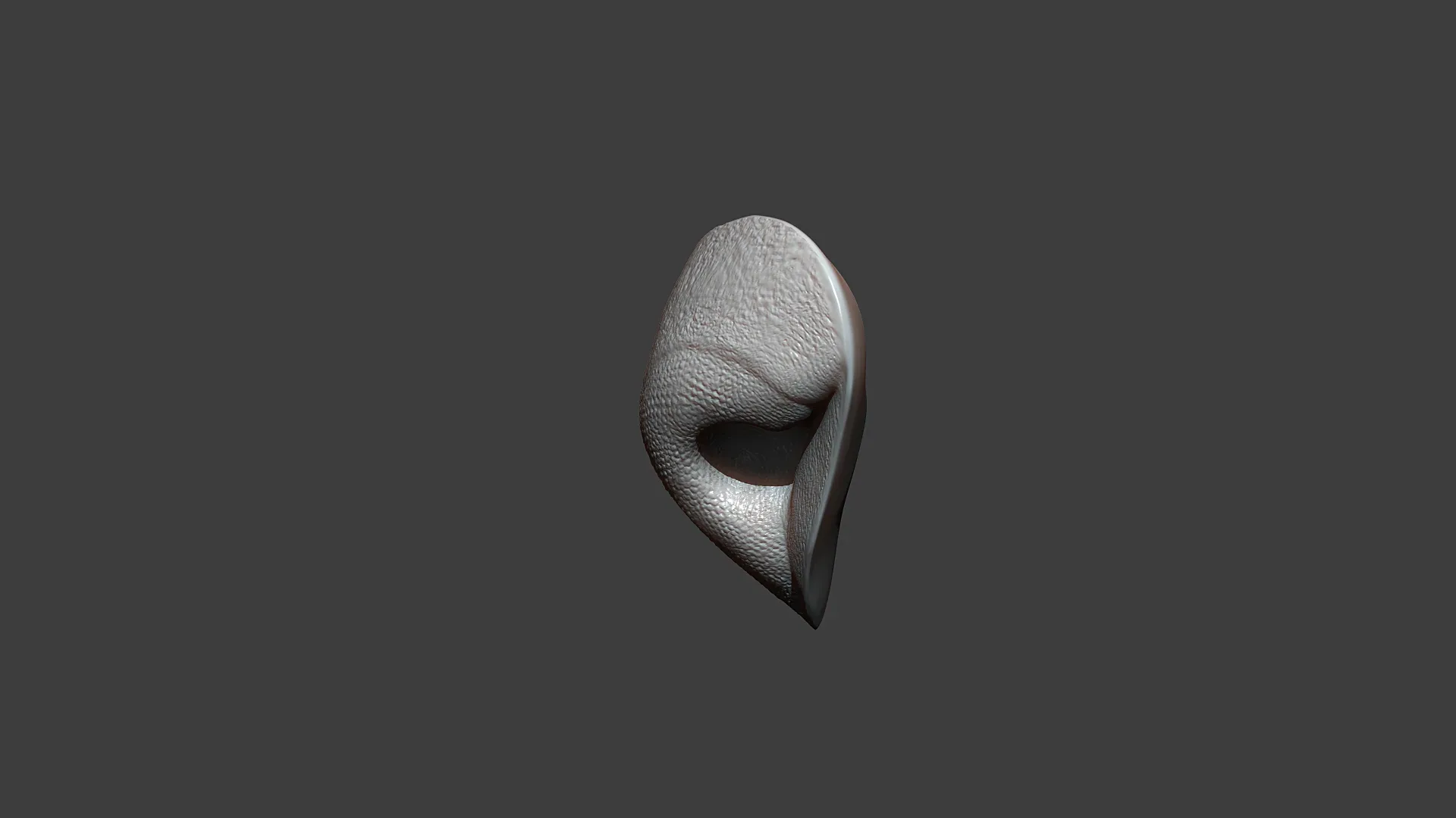 Cat Nose Highpoly Sculpt