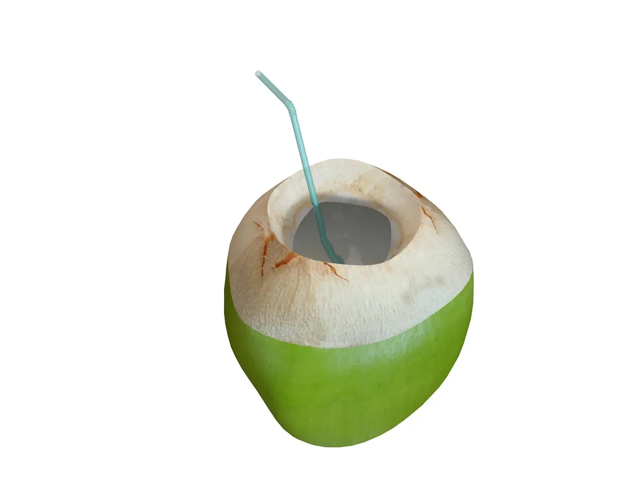 coconut water sliced 3d model