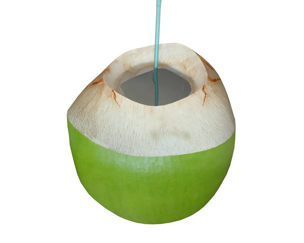 coconut water sliced 3d model