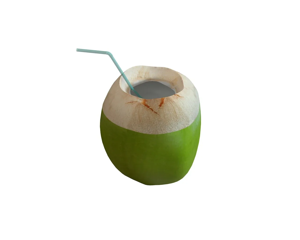 coconut water sliced 3d model