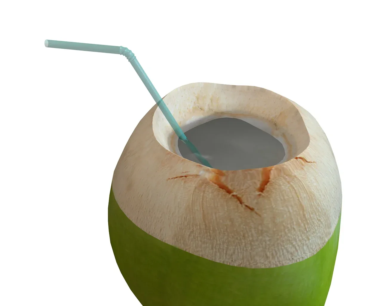 coconut water sliced 3d model