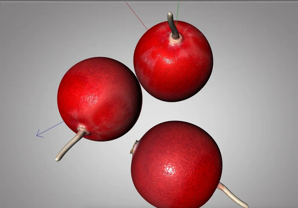 Cranberry 3d model