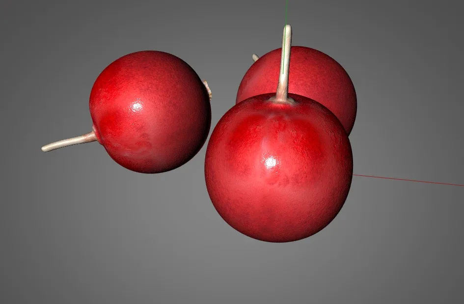 Cranberry 3d model