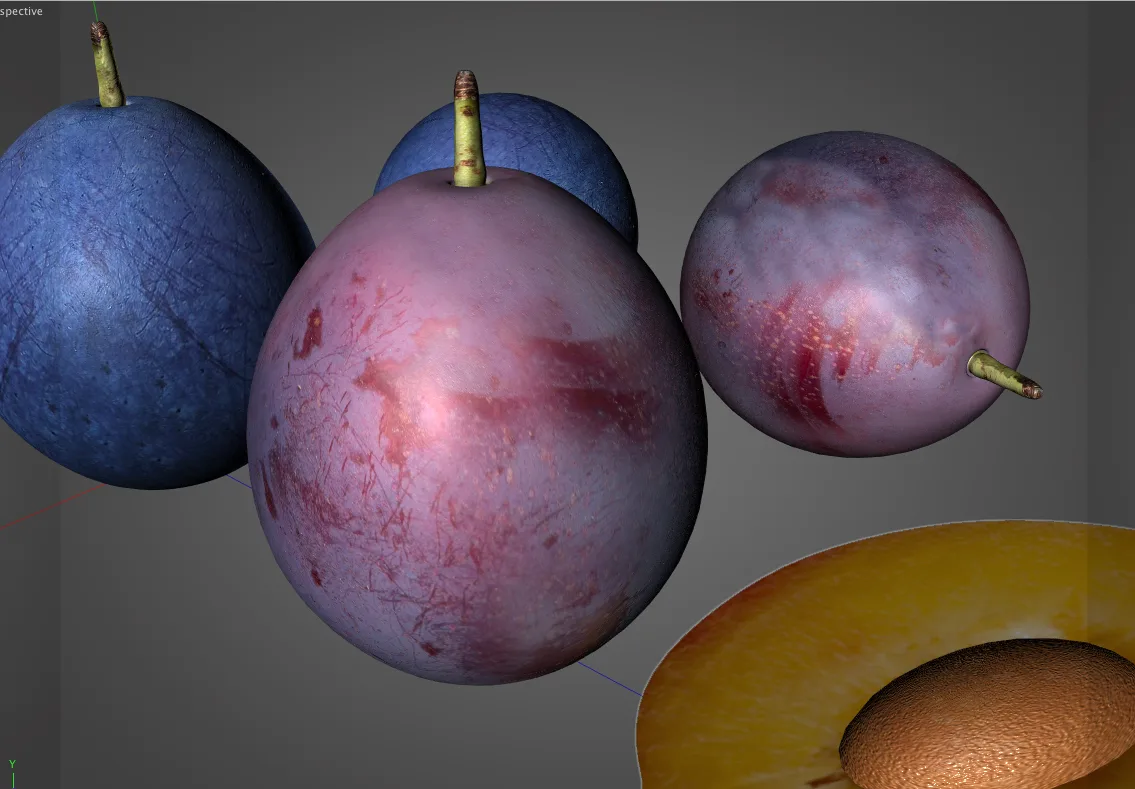 Damson Plum 3d model